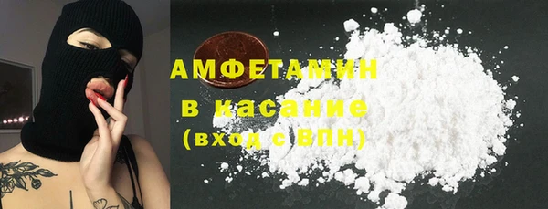 ECSTASY Алзамай