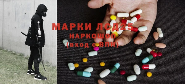 ECSTASY Алзамай
