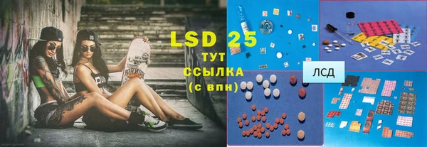 ECSTASY Алзамай