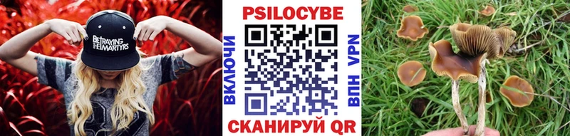 Галлюциногенные грибы Psilocybine cubensis что такое наркотик Мураши